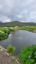 20220714_105512.webp