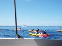 DSCF6592.webp