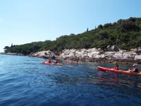 DSCF6597.webp