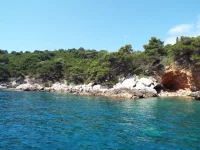 DSCF6598.webp