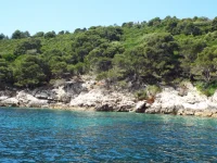 DSCF6599.webp