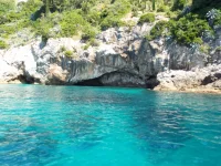 DSCF6603.webp