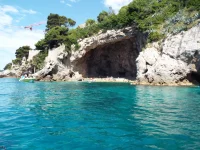 DSCF6605.webp