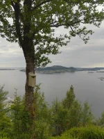 IMG_20250622_103308_HDR.webp