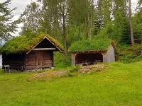 IMG_20250622_133242_HDR.webp