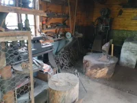 IMG_20250622_142609_HDR.webp