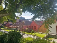 IMG_20250702_121753_HDR.webp