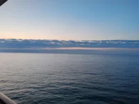 1000019291.webp