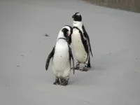 DSCN0258.webp