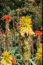 Screenshot_20250624_132846_Studio.webp