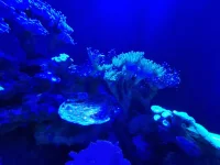 20250624_145524.webp