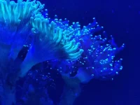 20250624_145531.webp