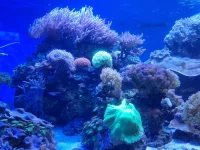 20250624_150107.webp