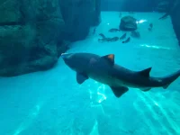 20250624_154545.webp