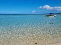 20250630_111122.webp
