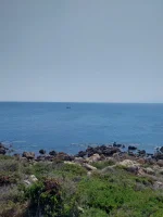 20250810_144831.webp