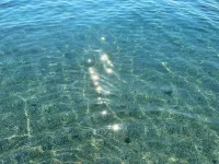 25321262-6b9c-4176-aa95-2870bf4a8ebc.webp