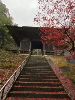thumbnail_IMG_0705.webp