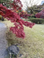 Hama Rikyu (6).webp