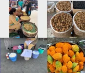 Schermata 2025-10-14 alle 18.36.41.webp