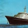 Albatros