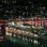 scostica_2006
